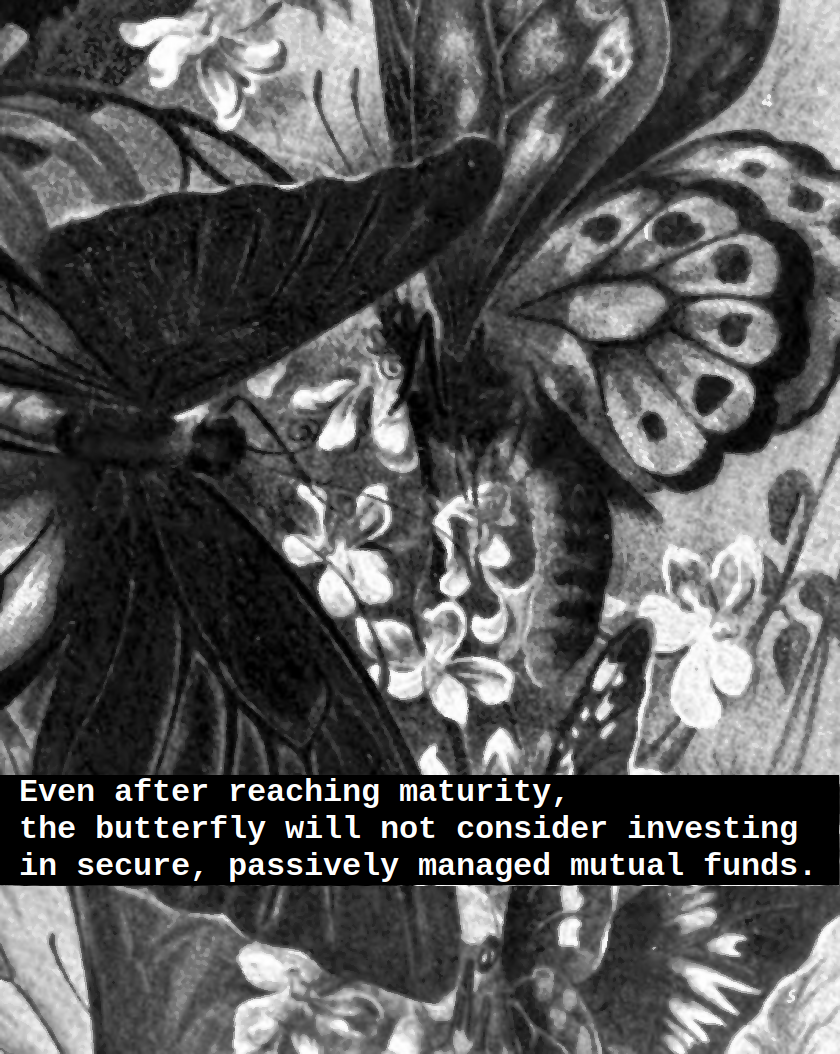 Economy 2 - butterfly. A picture of butterflies with the text 'Even after reaching maturity, the butterfly will not consider investing in secure, passively managed mutual funds.'