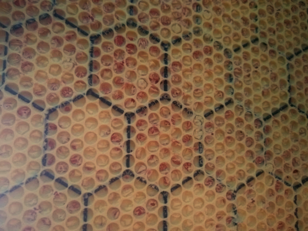 pictures from the soapmaking process