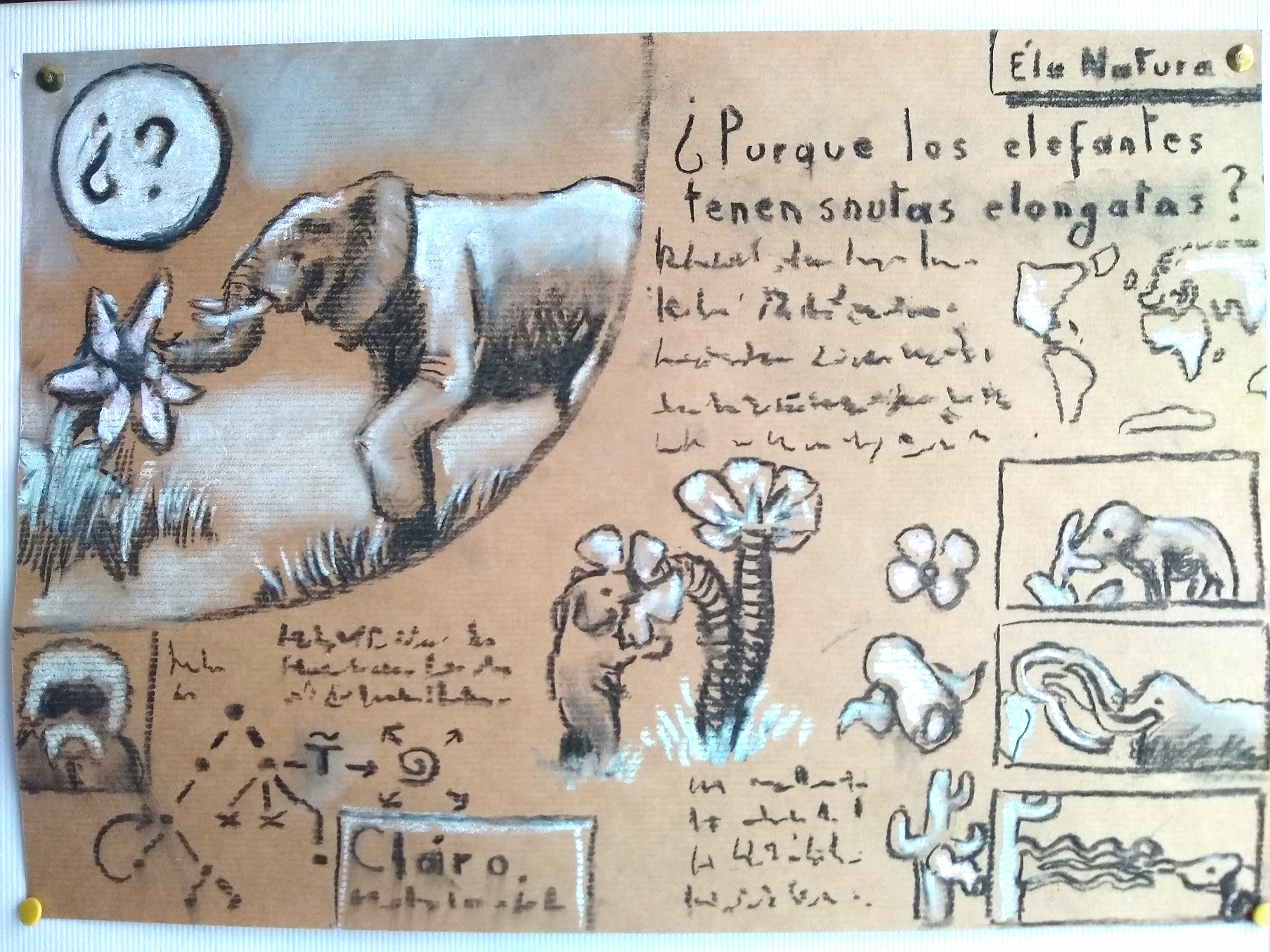 Purque los elefantes tienes snutas elongatas? An 'educational' illustration in a romance language.