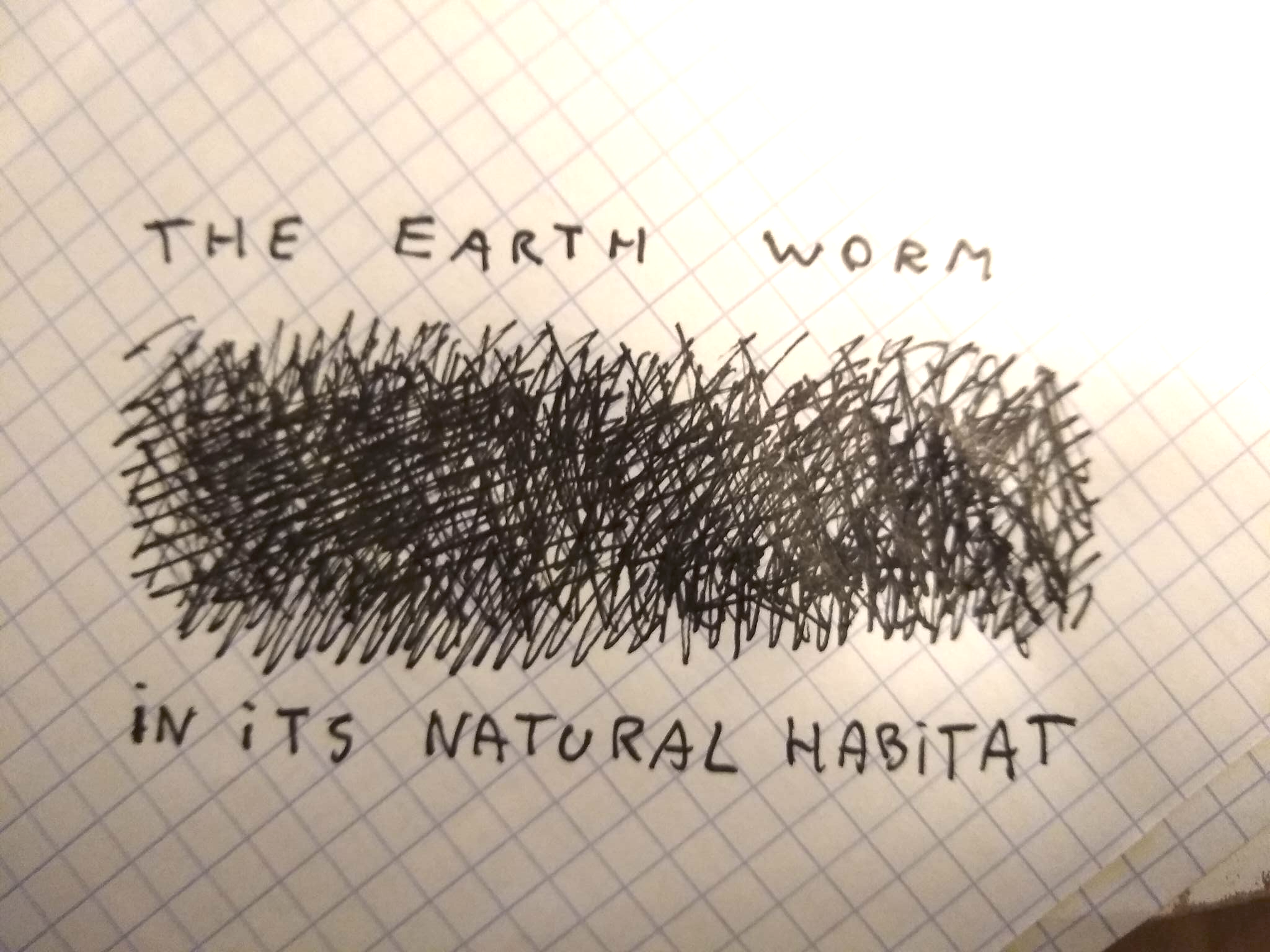 The earth worm in its natural habitat